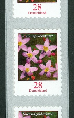 Tausendgüldenkraut-28er.jpg