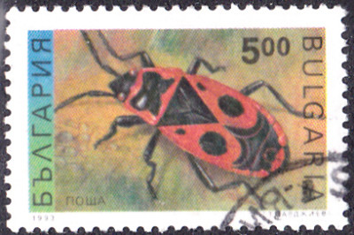 20240328_0001.jpg