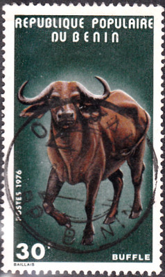 20240328_0009.jpg