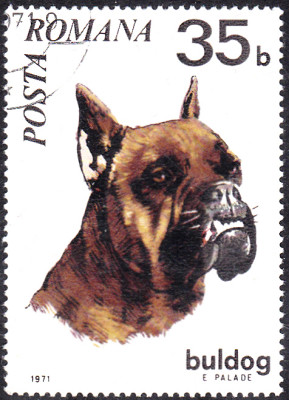 20240425_0003.jpg