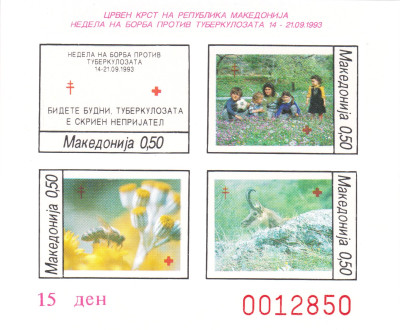 009.jpg