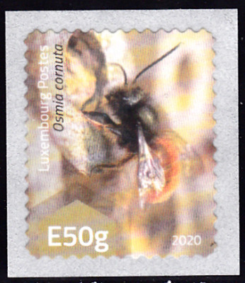 20240704_0012.jpg