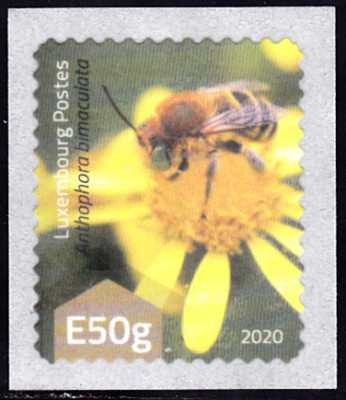 20240704_0014.jpg