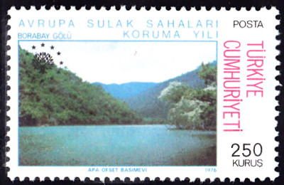20240722_0005.jpg