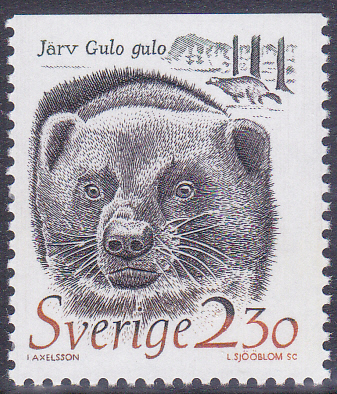 20240926_0002.jpg