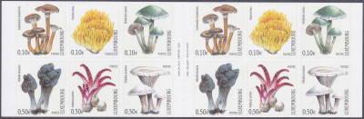 20241028.jpg