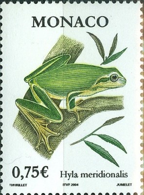 frosch 2002.jpg (104.23 KiB) 1194-mal betrachtet frosch 2002.jpg