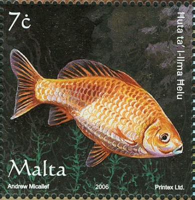 Malta 2003 HausTiere 2.jpg