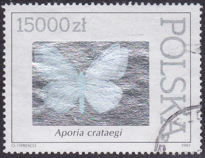 202412031_0008.jpg