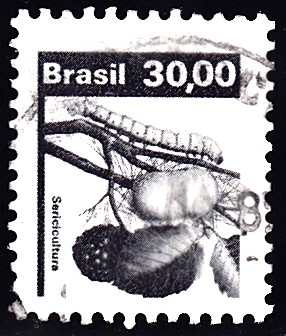 Brasilien MiNr.  1922 Kokon.jpg