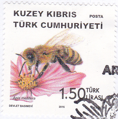 20250219_0014.jpg