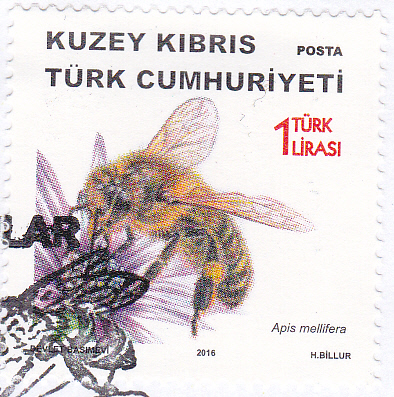 20250219_0015.jpg