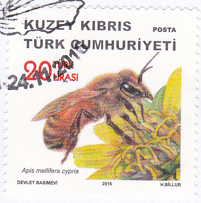 20250219_0016.jpg