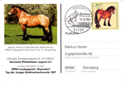 zaumzeug.jpg