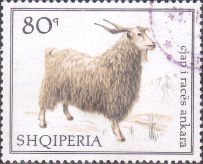 mohair.jpg