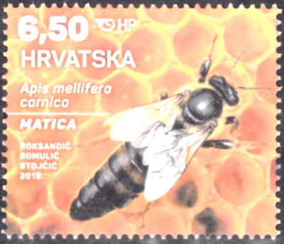bienenkönigin2.jpg