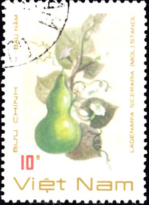 flaschenkürbis.jpg