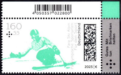 para ski.jpg