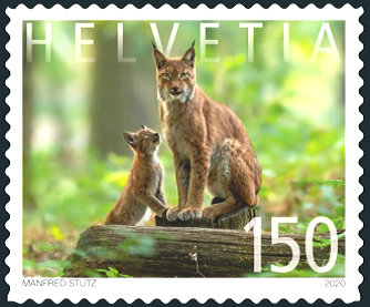 luchs 4.png