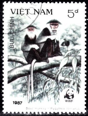 kleideraffe.jpg