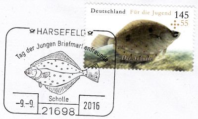 scholle1.jpg