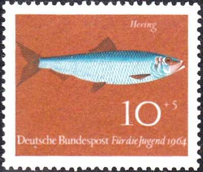 hering1.jpg