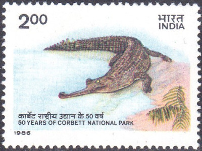gavial.jpg