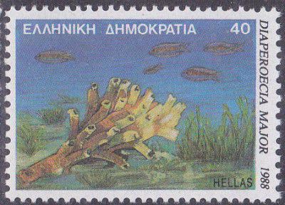 20250506_0001.jpg