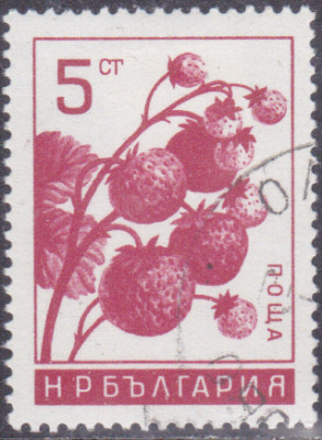 20250616.jpg