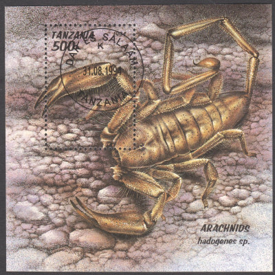 skorpion1.jpg