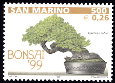 bonsai1.jpg