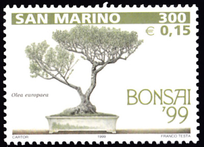 bonsai3.jpg