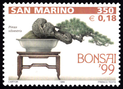 bonsai2.jpg