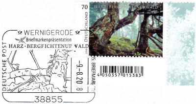 urwald.jpg