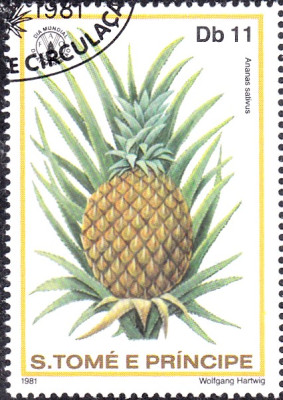 ananas1.jpg