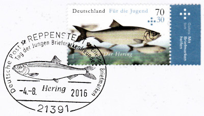 hering1.jpg