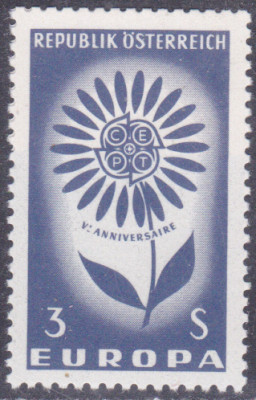 20250727.jpg