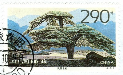 China 290 Fei.jpg