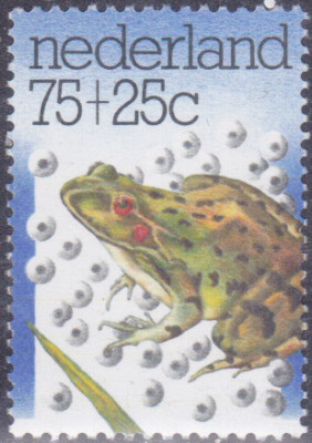 20250903_0016.jpg