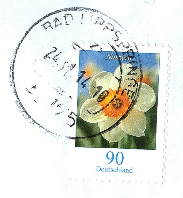 EF Narzisse 2014 -2.jpg