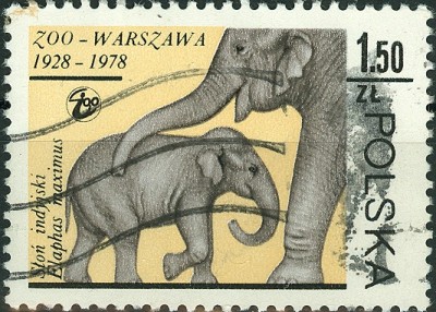 Elefant Polska 1978.jpg