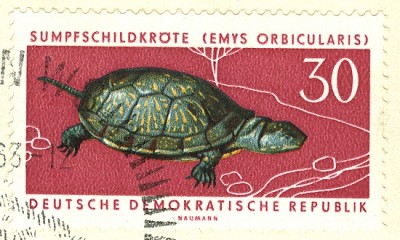 DDR 1963 MiNr. 980 Europäische Sumpfschildkröte.jpg
