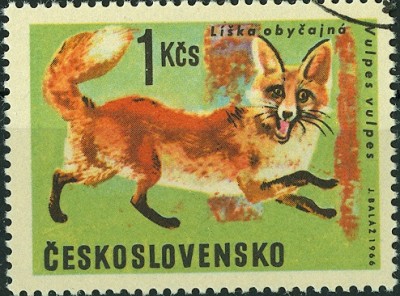 CSSR Fuchs mit zahnfehler.jpg
