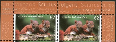 Bund 2015 Eichhörnchen naßklebend -2.jpg