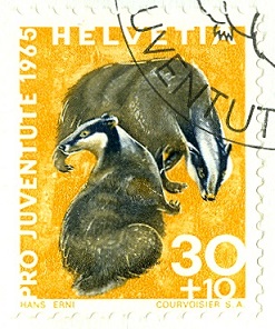 Schweiz 1965 ProJuve Dachs.jpg