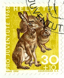 Schweiz 1966 ProJuve Hase.jpg