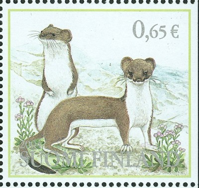 Finnland 2004 Hermelin.jpg