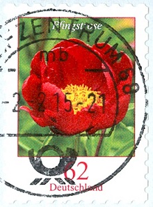 Bund 2015 MiNr. Pfingsrose mit RundStempel.jpg