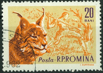 Rumänien 1961 Luchs.jpg