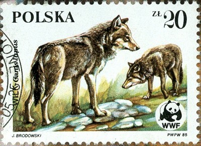 Polen 1985 Wolf 20 Sloty-Wert-1.jpg